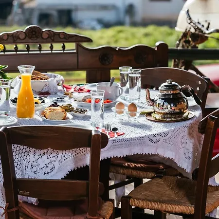 Vilaeti Dimitra Apartment Agios Konstantinos (Crete)
